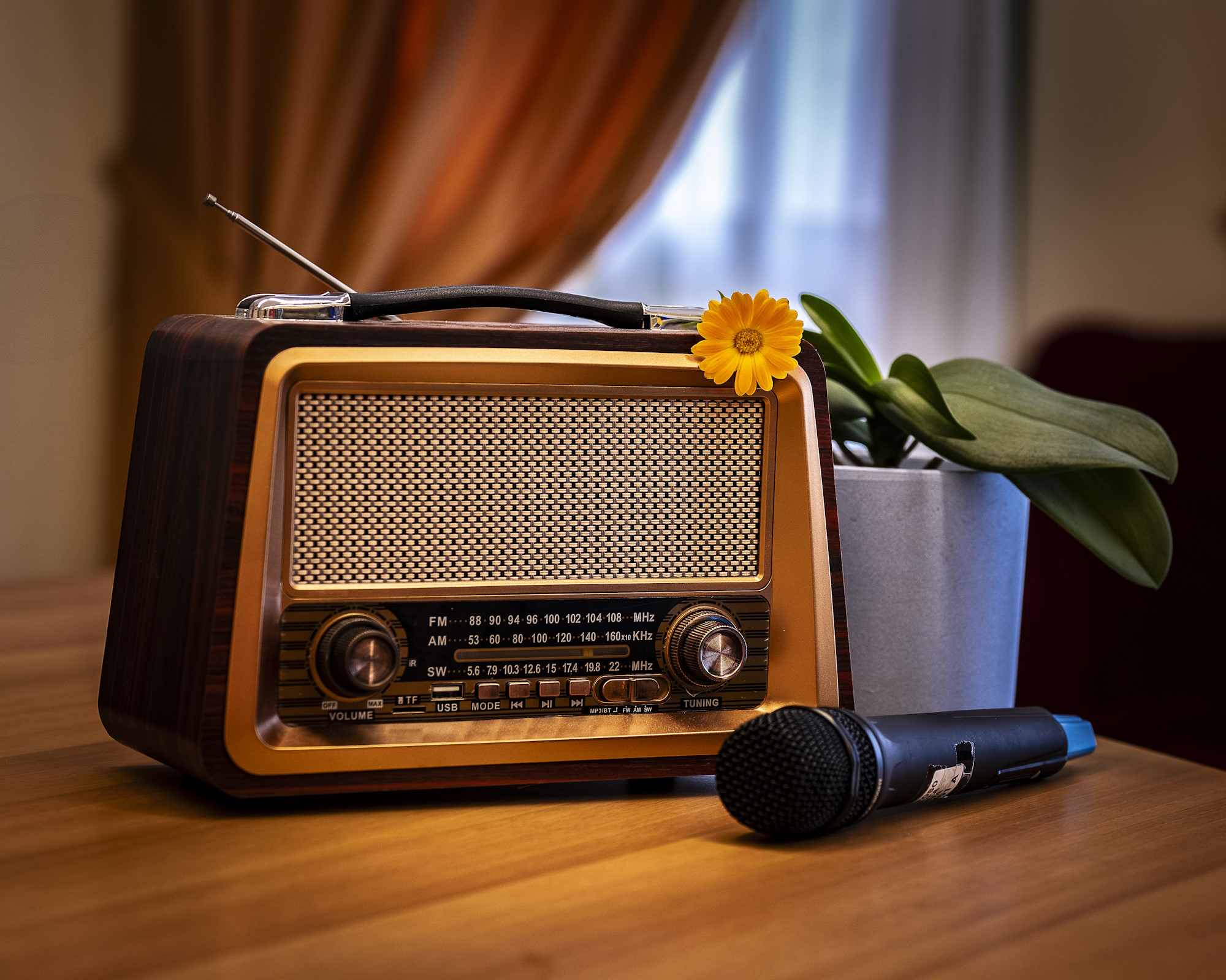 Radio vintage, fiore e microfono