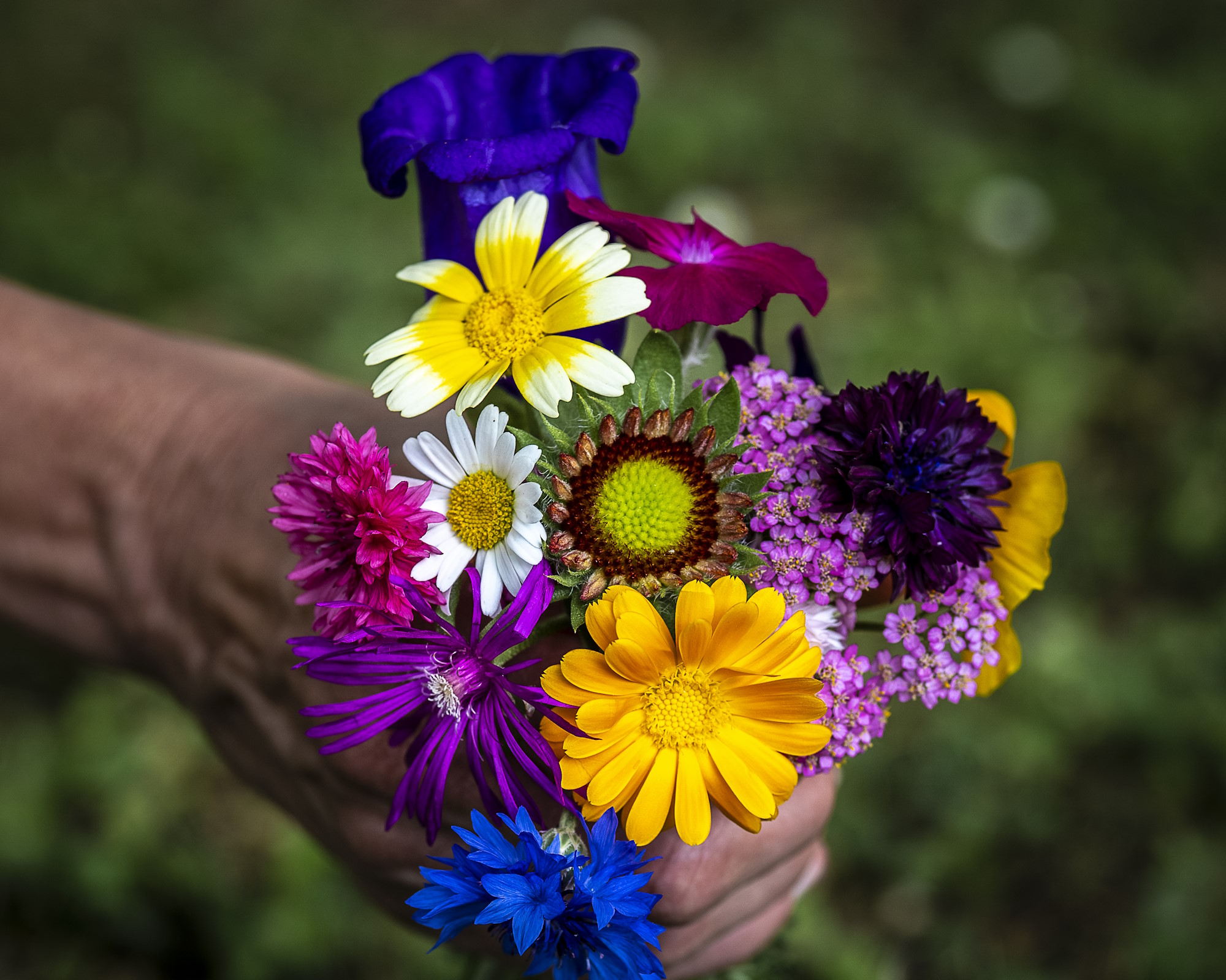 Mano con mazzo di fiori colorato